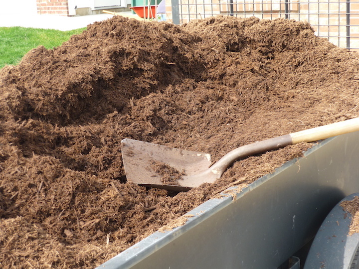 Compost giveaways