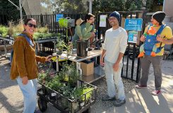 CBWCD_Waterwise_Plant_Nursery