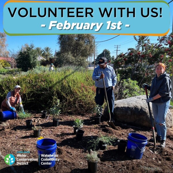 🌿Do you love volunteering and doing hands-on work? Learn skills and earn volunteer hours by joining us for our garden volunteer workday on Saturday, February 1st.➡️Sign up for our interest list using the link in our bio or DM us “volunteer”

cbwcd waterwise nativegarden waterwisecommunitycenter gardencare volunteering volunteer volunteers gardenvolunteer